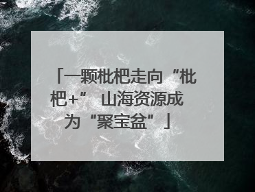 一颗枇杷走向“枇杷+” 山海资源成为“聚宝盆”
