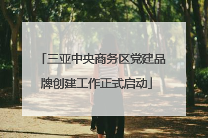 三亚中央商务区党建品牌创建工作正式启动