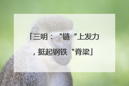 三明：“链“上发力，挺起钢铁“脊梁