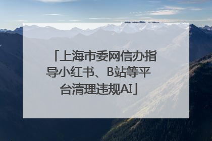 上海市委网信办指导小红书、B站等平台清理违规AI