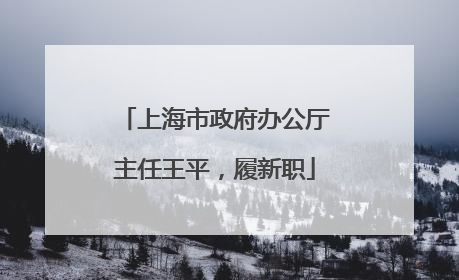 上海市政府办公厅主任王平，履新职