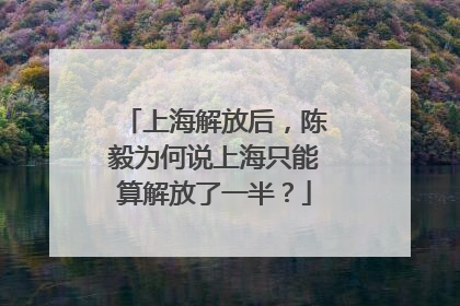 上海解放后，陈毅为何说上海只能算解放了一半？