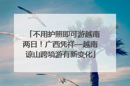 不用护照即可游越南两日！广西凭祥—越南谅山跨境游有新变化