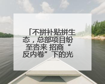 不拼补贴拼生态，总部项目纷至沓来 招商“反内卷”下的光谷之变