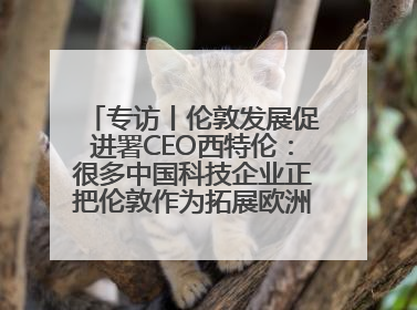 专访丨伦敦发展促进署CEO西特伦：很多中国科技企业正把伦敦作为拓展欧洲市场的门户