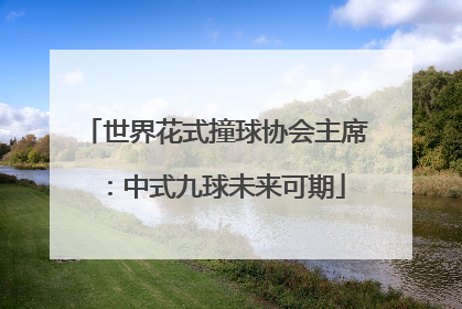 世界花式撞球协会主席：中式九球未来可期