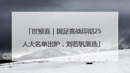 世预赛｜国足客战印尼25人大名单出炉，刘若钒落选