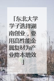 东北大学学子选择湖南创业，要用高性能金属复材为产业降本增效