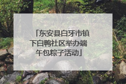 东安县白牙市镇下白鸭社区举办端午包粽子活动