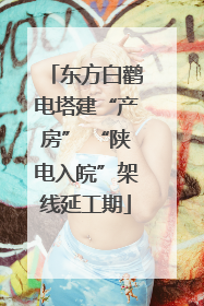 东方白鹳电塔建“产房” “陕电入皖”架线延工期