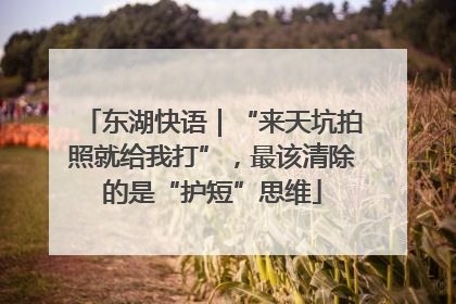 东湖快语｜“来天坑拍照就给我打”，最该清除的是“护短”思维