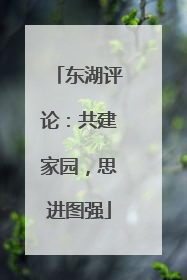 东湖评论：共建家园，思进图强