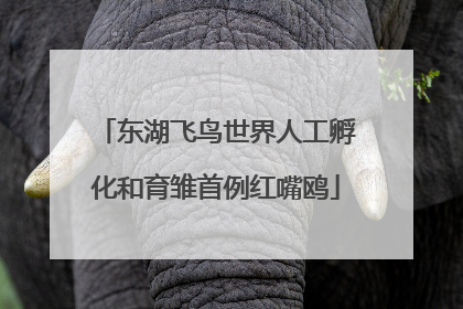东湖飞鸟世界人工孵化和育雏首例红嘴鸥