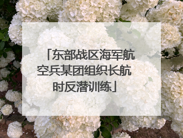 东部战区海军航空兵某团组织长航时反潜训练