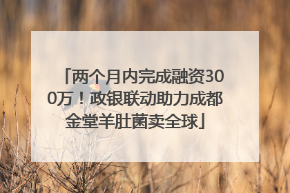 两个月内完成融资300万！政银联动助力成都金堂羊肚菌卖全球