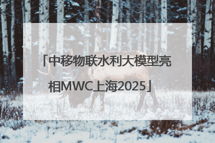 中移物联水利大模型亮相MWC上海2025