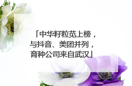 中华籽粒苋上榜，与抖音、美团并列，育种公司来自武汉
