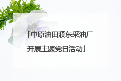 中原油田濮东采油厂开展主题党日活动