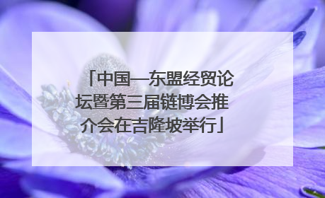中国—东盟经贸论坛暨第三届链博会推介会在吉隆坡举行