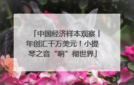 中国经济样本观察丨年创汇千万美元！小提琴之音“响”彻世界