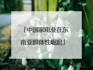 中国家电业在东南亚群体性崛起