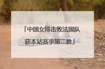 中国女排击败法国队 获本站赛事第二胜