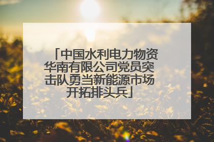 中国水利电力物资华南有限公司党员突击队勇当新能源市场开拓排头兵