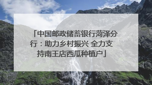中国邮政储蓄银行菏泽分行：助力乡村振兴 全力支持南王店西瓜种植户