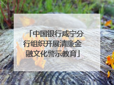 中国银行咸宁分行组织开展清廉金融文化警示教育