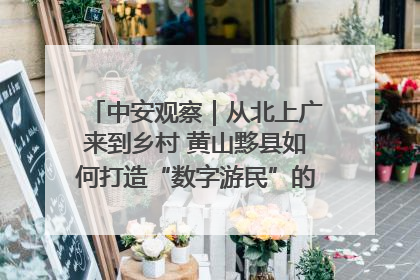 中安观察｜从北上广来到乡村 黄山黟县如何打造“数字游民”的“桃花源”？