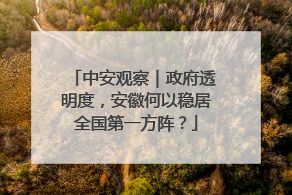 中安观察｜政府透明度，安徽何以稳居全国第一方阵？