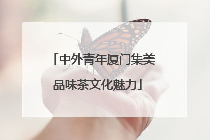 中外青年厦门集美品味茶文化魅力