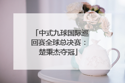 中式九球国际巡回赛全球总决赛：楚秉杰夺冠