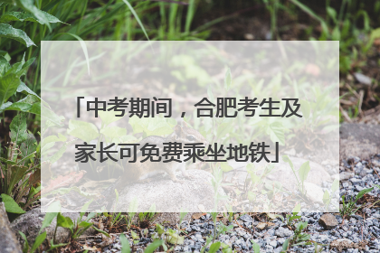中考期间，合肥考生及家长可免费乘坐地铁
