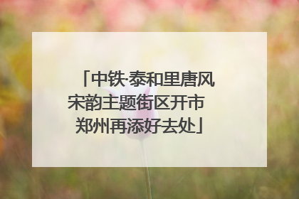 中铁·泰和里唐风宋韵主题街区开市 郑州再添好去处