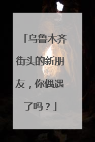 乌鲁木齐街头的新朋友，你偶遇了吗？