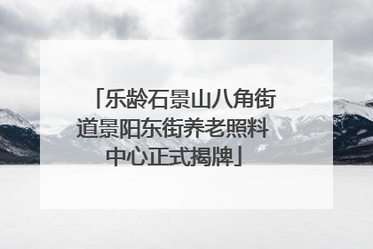 乐龄石景山八角街道景阳东街养老照料中心正式揭牌