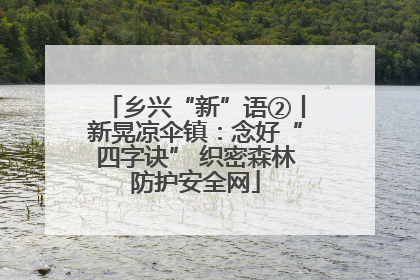 乡兴“新”语②丨新晃凉伞镇：念好“四字诀” 织密森林防护安全网