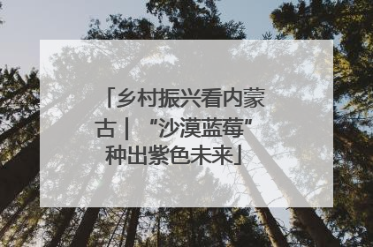 乡村振兴看内蒙古｜“沙漠蓝莓”种出紫色未来
