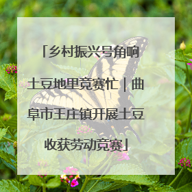 乡村振兴号角响 土豆地里竞赛忙｜曲阜市王庄镇开展土豆收获劳动竞赛