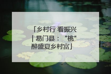 乡村行 看振兴｜易门县：“桃”醉盛夏乡村富