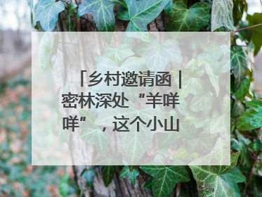 乡村邀请函｜密林深处“羊咩咩”，这个小山村如何逆袭？