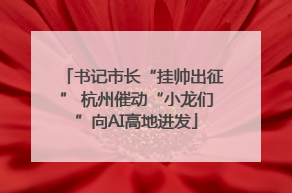 书记市长“挂帅出征” 杭州催动“小龙们”向AI高地进发
