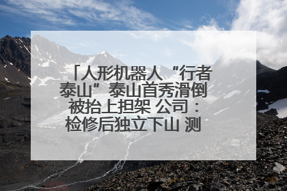 人形机器人“行者泰山”泰山首秀滑倒被抬上担架 公司：检修后独立下山 测试就是为暴露问题
