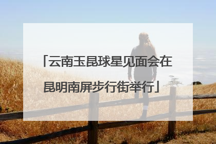 云南玉昆球星见面会在昆明南屏步行街举行