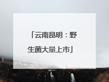 云南昆明：野生菌大量上市