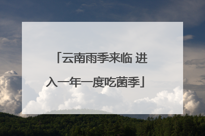云南雨季来临 进入一年一度吃菌季