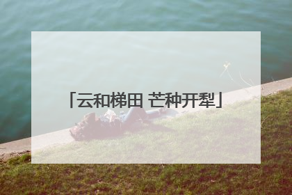 云和梯田 芒种开犁
