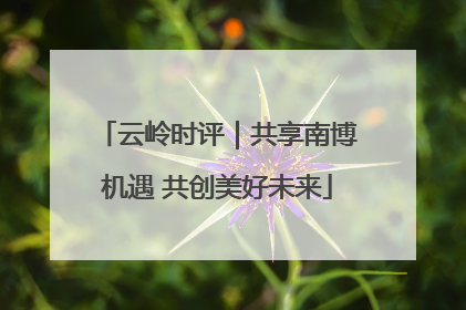 云岭时评｜共享南博机遇 共创美好未来