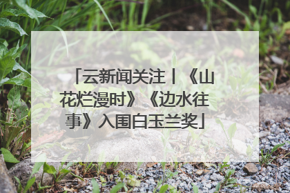 云新闻关注丨《山花烂漫时》《边水往事》入围白玉兰奖